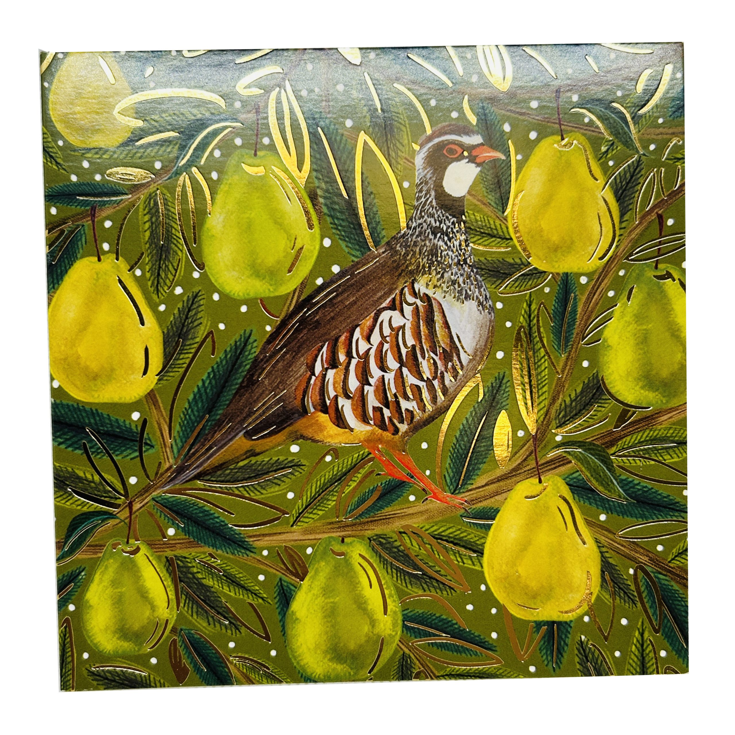 Partridge in a pear tree card